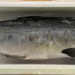 Thumbnail of post image 018